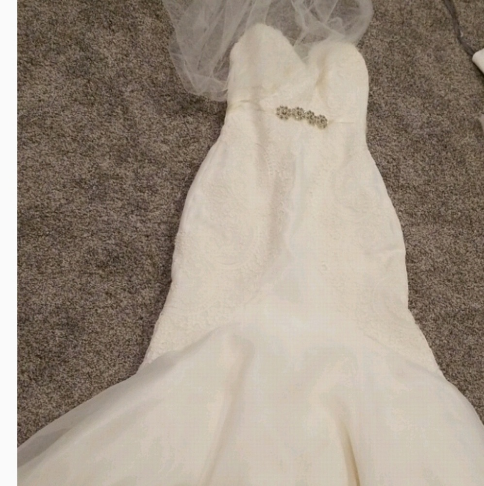 Gorgeous wedding gown